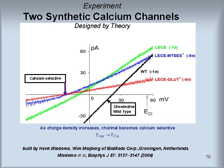 Experiment Two Synthetic Calcium Channels Designed by Theory Calcium selective Unselective Wild Type As Experiment Two Synthetic Calcium Channels Designed by Theory Calcium selective Unselective Wild Type As