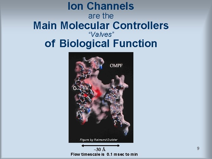 Ion Channels are the Main Molecular Controllers “Valves” of Biological Function Figure by Raimund Ion Channels are the Main Molecular Controllers “Valves” of Biological Function Figure by Raimund
