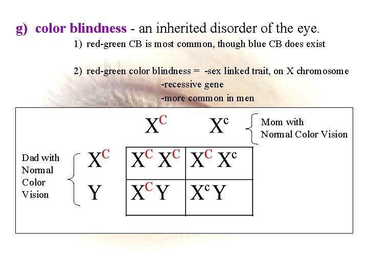 g) color blindness - an inherited disorder of the eye. 1) red-green CB is