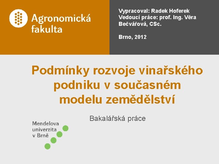 Vypracoval: Radek Hoferek Vedoucí práce: prof. Ing. Věra Bečvářová, CSc. Brno, 2012 Podmínky rozvoje