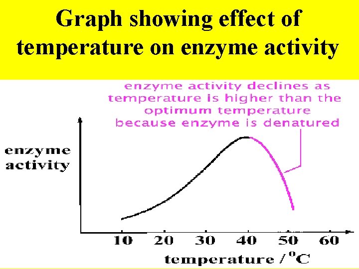 Graph showing effect of temperature on enzyme activity Graph showing effect of temperature on enzyme activity