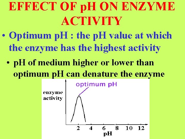 EFFECT OF p. H ON ENZYME ACTIVITY • Optimum p. H : the p. EFFECT OF p. H ON ENZYME ACTIVITY • Optimum p. H : the p.