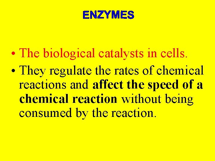 • The biological catalysts in cells. • They regulate the rates of chemical • The biological catalysts in cells. • They regulate the rates of chemical