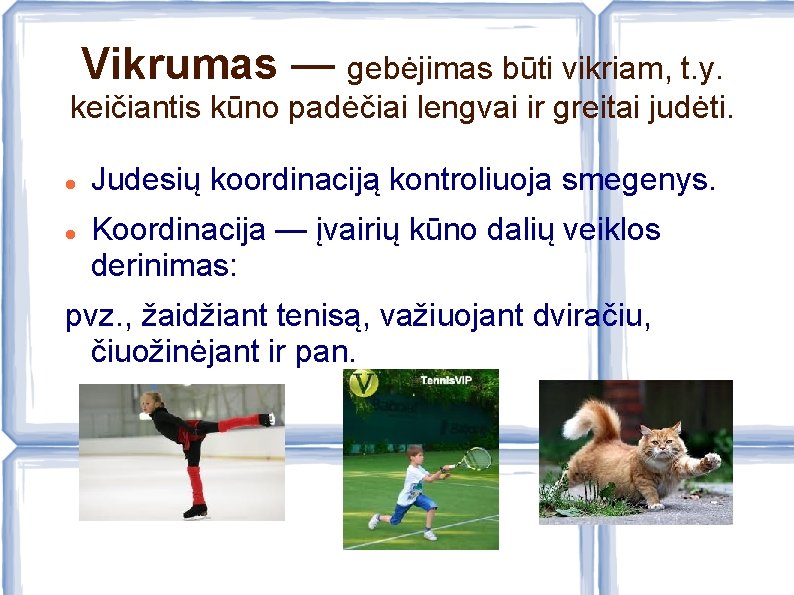 Vikrumas — gebėjimas būti vikriam, t. y. keičiantis kūno padėčiai lengvai ir greitai judėti.