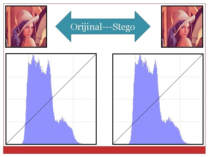 Orijinal---Stego 