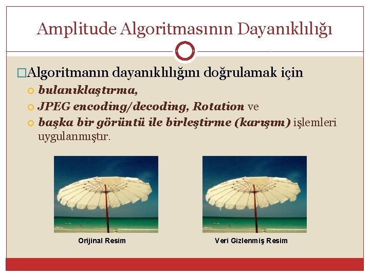 Amplitude Algoritmasının Dayanıklılığı �Algoritmanın dayanıklılığını doğrulamak için bulanıklaştırma, JPEG encoding/decoding, Rotation ve başka bir