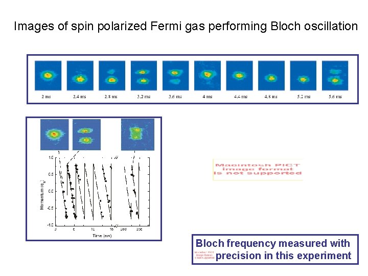 Images of spin polarized Fermi gas performing Bloch oscillation Bloch frequency measured with precision