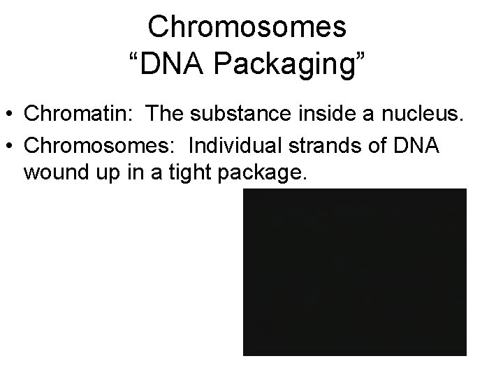 Chromosomes “DNA Packaging” • Chromatin: The substance inside a nucleus. • Chromosomes: Individual strands