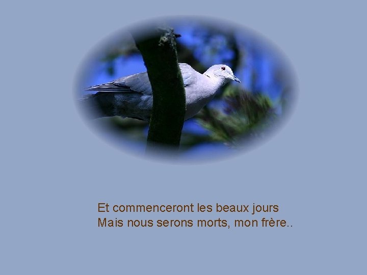 Et commenceront les beaux jours Mais nous serons morts, mon frère. . Et commenceront les beaux jours Mais nous serons morts, mon frère. .