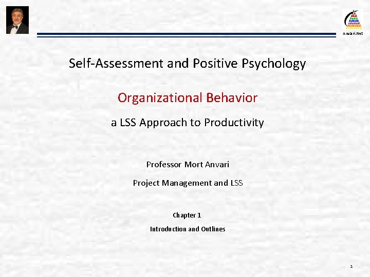 Anvari. Net Self-Assessment and Positive Psychology Organizational Behavior a LSS Approach to Productivity Professor