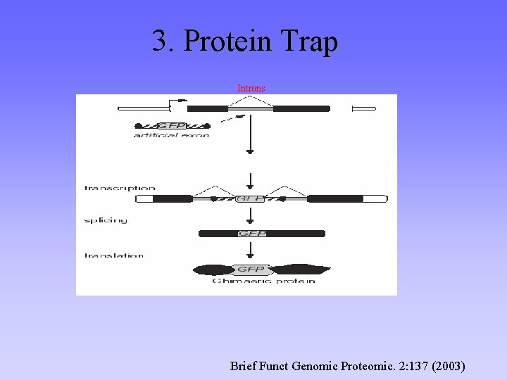 3. Protein Trap Introns Brief Funct Genomic Proteomic. 2: 137 (2003) 