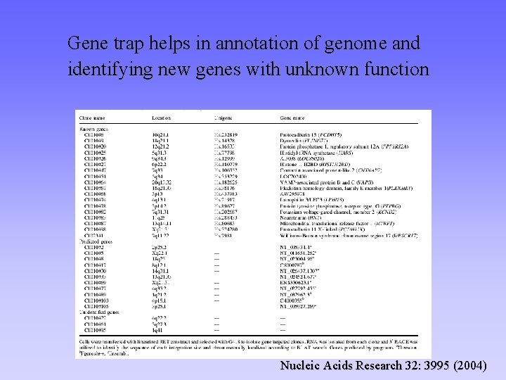 Gene trap helps in annotation of genome and identifying new genes with unknown function