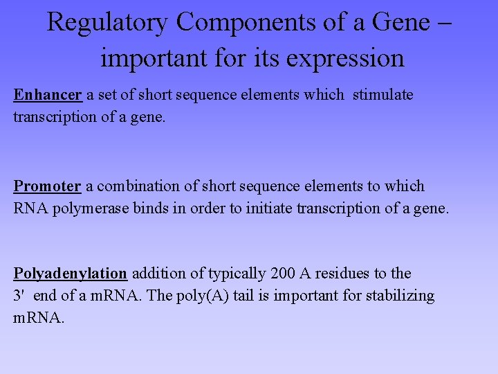 Regulatory Components of a Gene – important for its expression Enhancer a set of