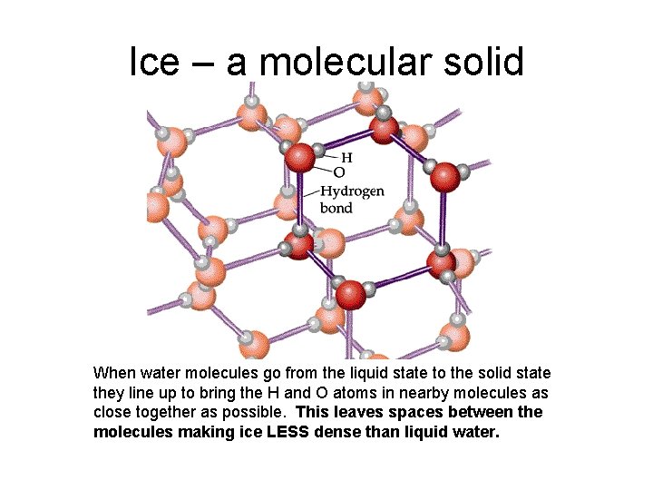 Ice – a molecular solid When water molecules go from the liquid state to