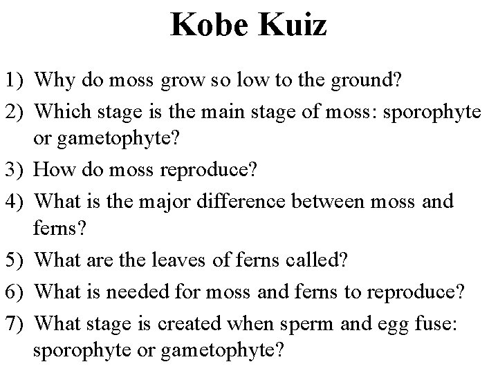 Kobe Kuiz 1) Why do moss grow so low to the ground? 2) Which