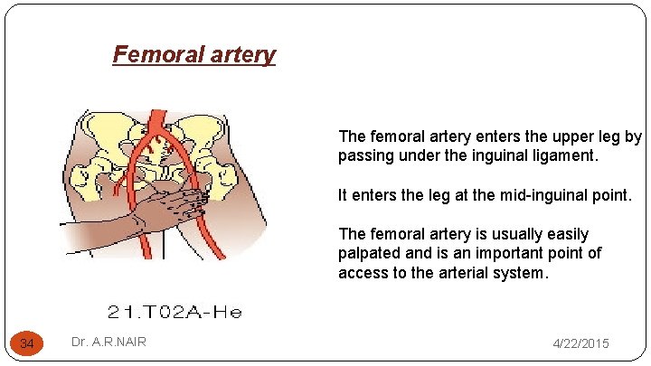 Femoral artery The femoral artery enters the upper leg by passing under the inguinal