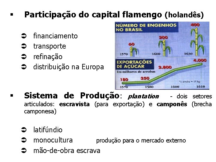 § Participação do capital flamengo (holandês) Ü Ü § financiamento transporte refinação distribuição na