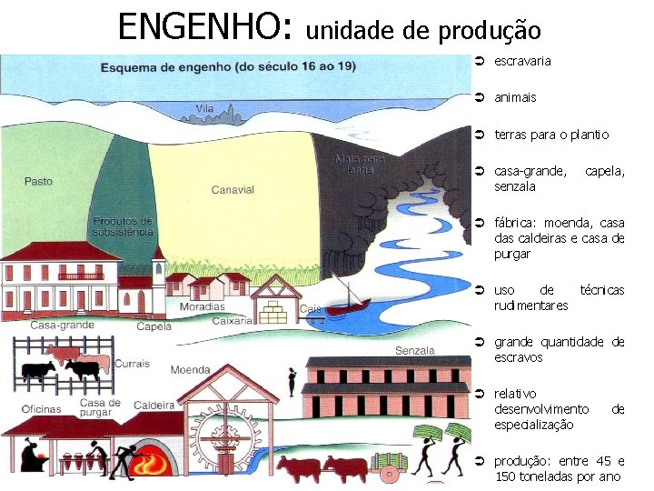 ENGENHO: unidade de produção Ü escravaria Ü animais Ü terras para o plantio Ü