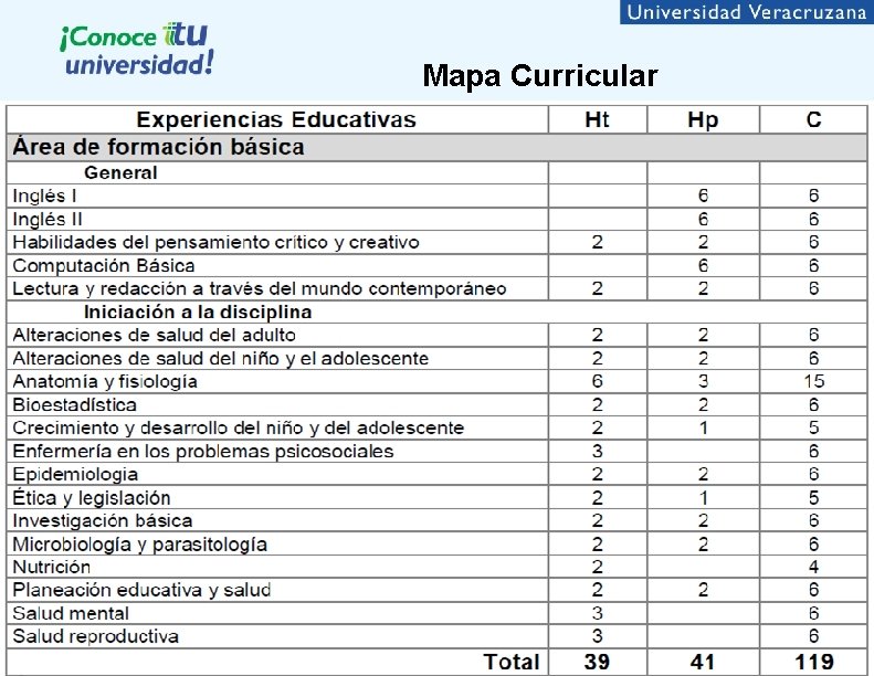 Mapa Curricular 