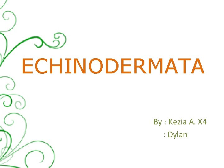 ECHINODERMATA By : Kezia A. X 4 : Dylan 