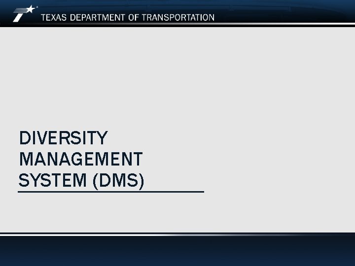 DIVERSITY MANAGEMENT SYSTEM (DMS) Date 