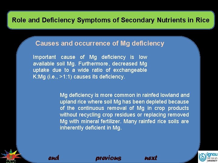 Role and Deficiency Symptoms of Secondary Nutrients in Rice Causes and occurrence of Mg
