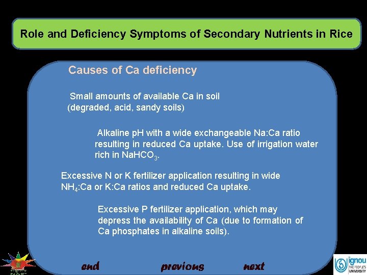 Role and Deficiency Symptoms of Secondary Nutrients in Rice Causes of Ca deficiency Small