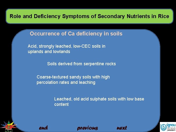 Role and Deficiency Symptoms of Secondary Nutrients in Rice Occurrence of Ca deficiency in