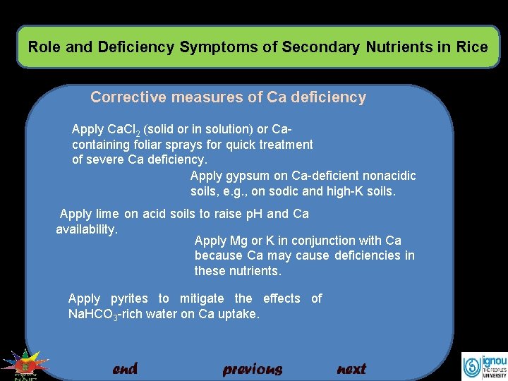 Role and Deficiency Symptoms of Secondary Nutrients in Rice Corrective measures of Ca deficiency