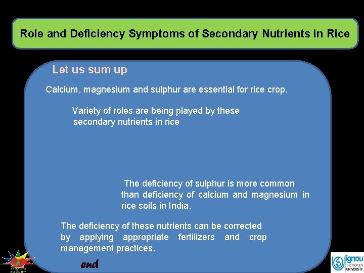 Role and Deficiency Symptoms of Secondary Nutrients in Rice Let us sum up Calcium,