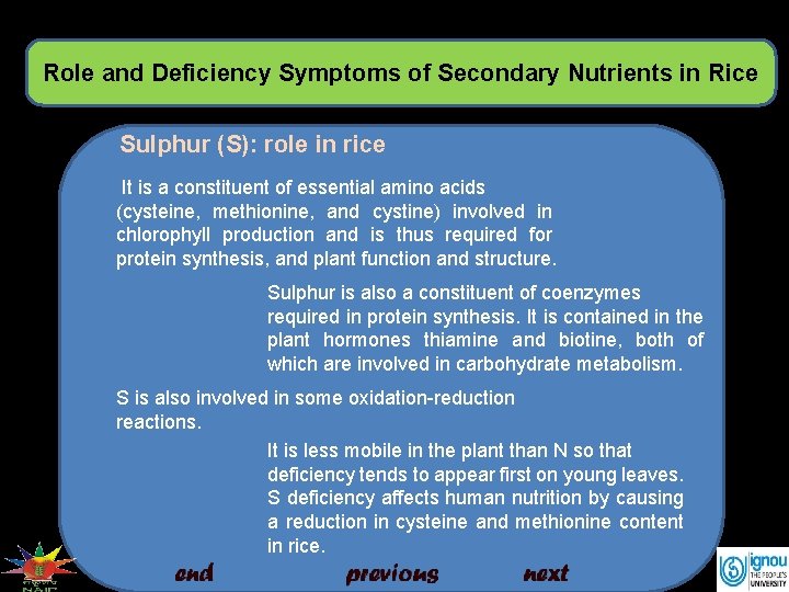 Role and Deficiency Symptoms of Secondary Nutrients in Rice Sulphur (S): role in rice