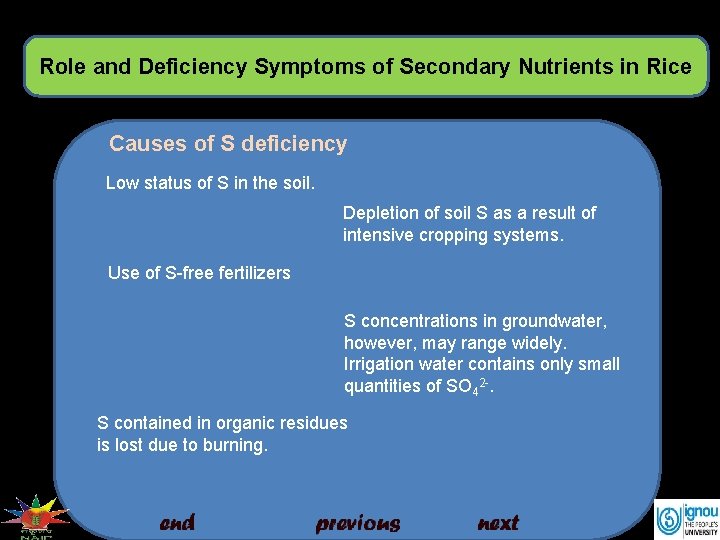 Role and Deficiency Symptoms of Secondary Nutrients in Rice Causes of S deficiency Low