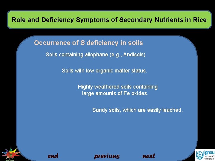 Role and Deficiency Symptoms of Secondary Nutrients in Rice Occurrence of S deficiency in