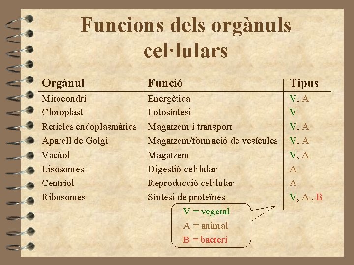 Funcions dels orgànuls cel·lulars Orgànul Funció Tipus Mitocondri Cloroplast Reticles endoplasmàtics Aparell de Golgi