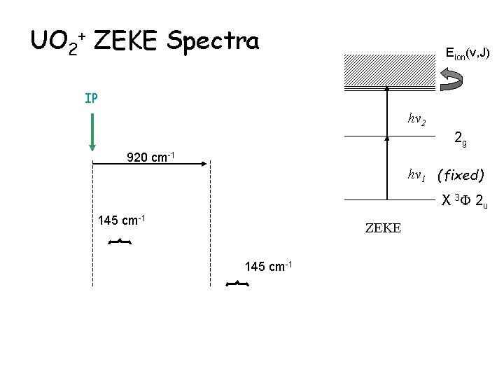 UO 2+ ZEKE Spectra Eion(v, J) IP hv 2 2 g 920 cm-1 hv