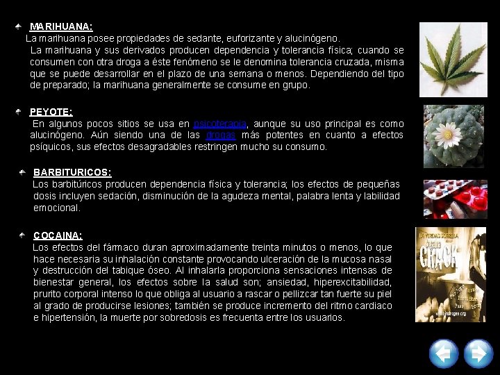 MARIHUANA: La marihuana posee propiedades de sedante, euforizante y alucinógeno. La marihuana y sus