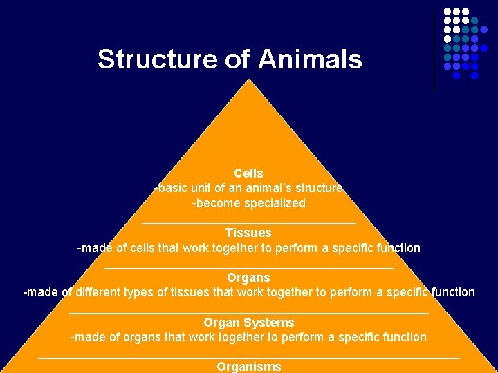 Structure of Animals Cells -basic unit of an animal’s structure -become specialized ________________ Tissues