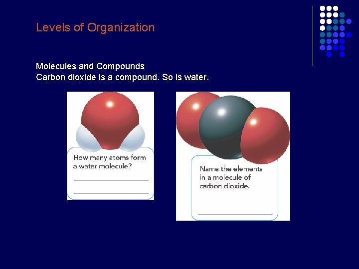 Levels of Organization Molecules and Compounds Carbon dioxide is a compound. So is water. Levels of Organization Molecules and Compounds Carbon dioxide is a compound. So is water.