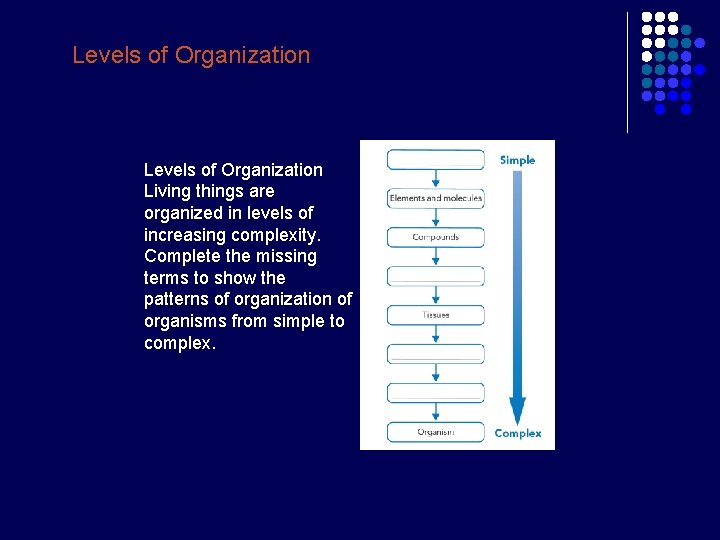 Levels of Organization Living things are organized in levels of increasing complexity. Complete the Levels of Organization Living things are organized in levels of increasing complexity. Complete the