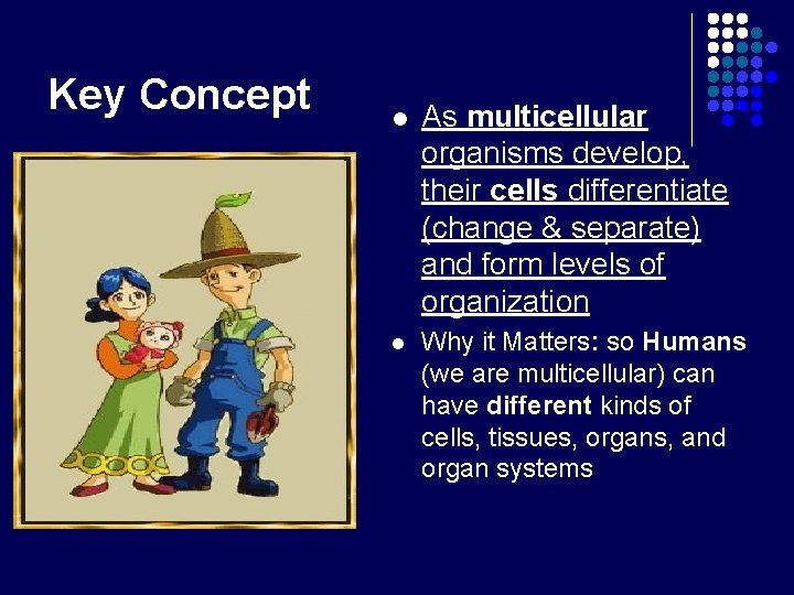 Key Concept l As multicellular organisms develop, their cells differentiate (change & separate) and Key Concept l As multicellular organisms develop, their cells differentiate (change & separate) and