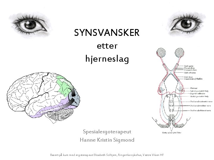 SYNSVANSKER etter hjerneslag Spesialergoterapeut Hanne Kristin Sigmond Basert på kurs med ergoterapeut Elizabeth Solhjem,