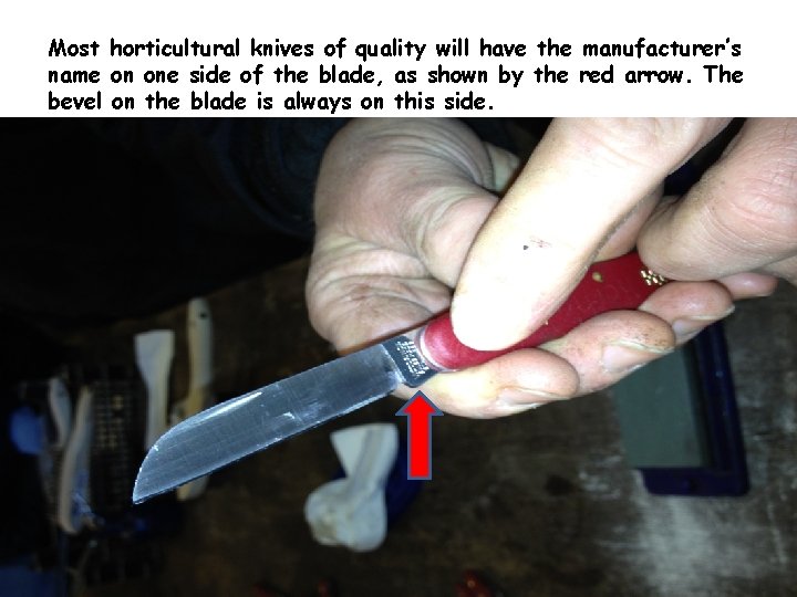 Most horticultural knives of quality will have the manufacturer’s name on one side of