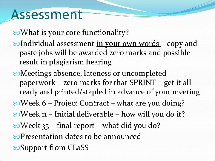 Assessment What is your core functionality? Individual assessment in your own words – copy