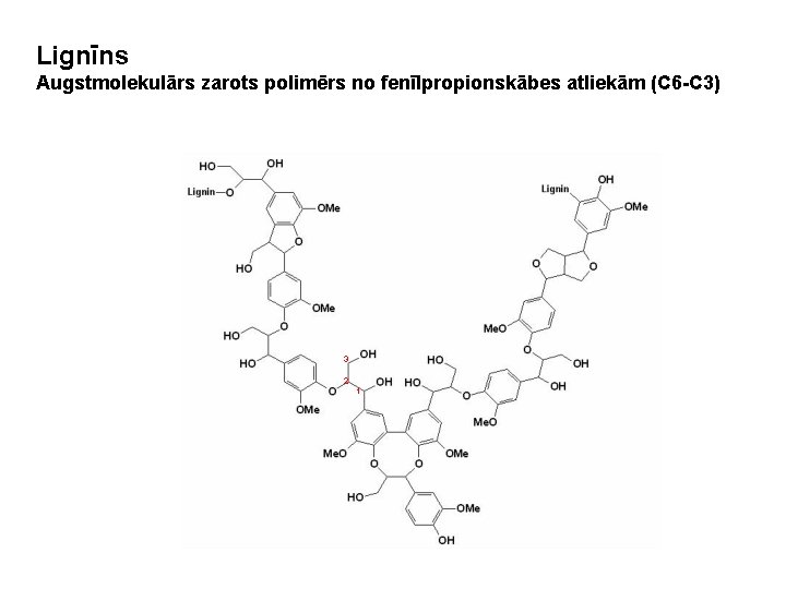 Lignīns Augstmolekulārs zarots polimērs no fenīlpropionskābes atliekām (C 6 -C 3) 3 2 1