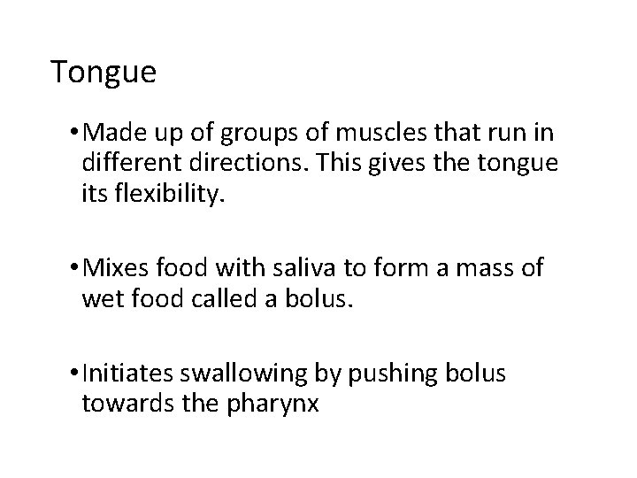 Tongue • Made up of groups of muscles that run in different directions. This