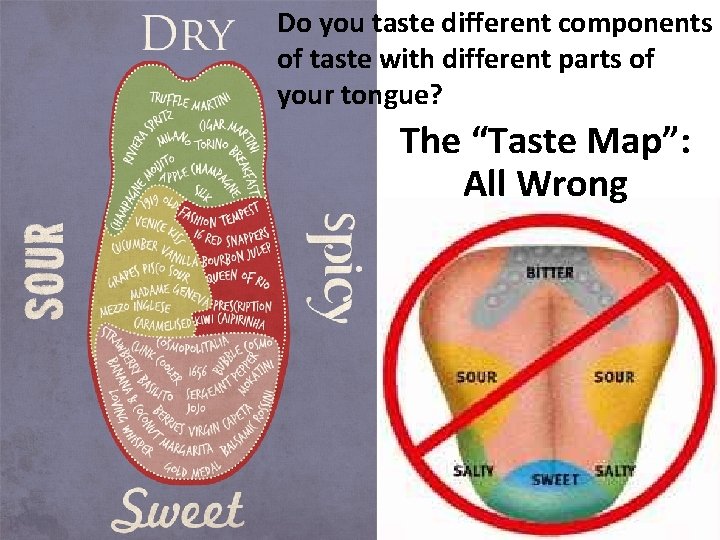 Do you taste different components of taste with different parts of your tongue? The