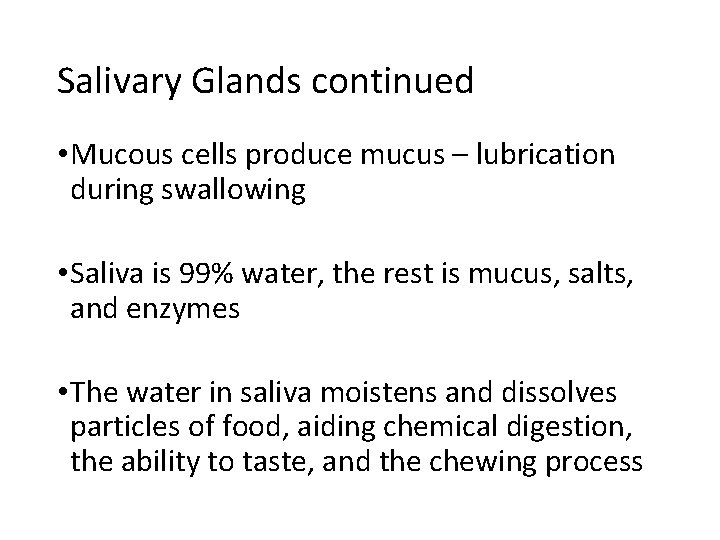 Salivary Glands continued • Mucous cells produce mucus – lubrication during swallowing • Saliva