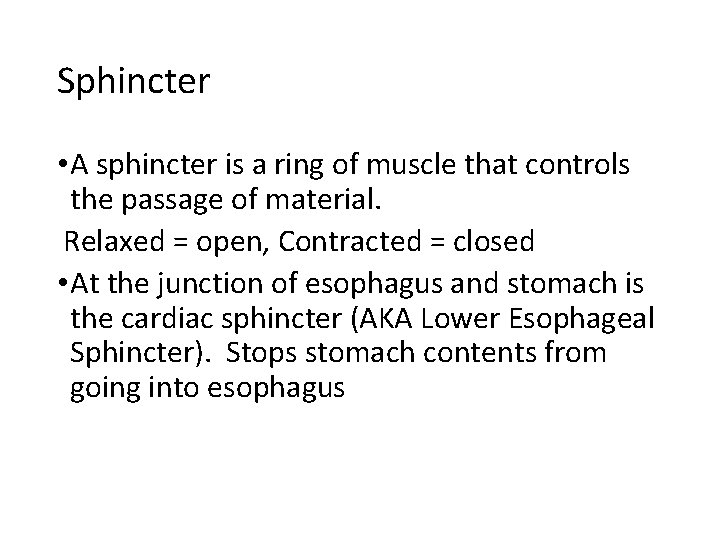 Sphincter • A sphincter is a ring of muscle that controls the passage of