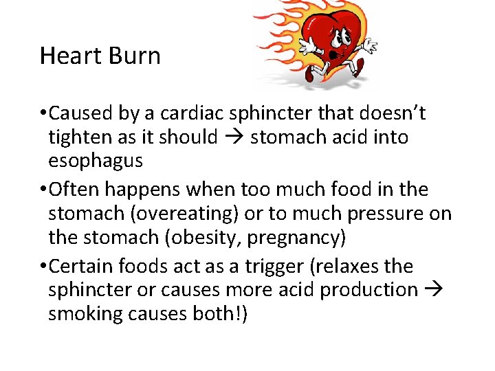 Heart Burn • Caused by a cardiac sphincter that doesn’t tighten as it should