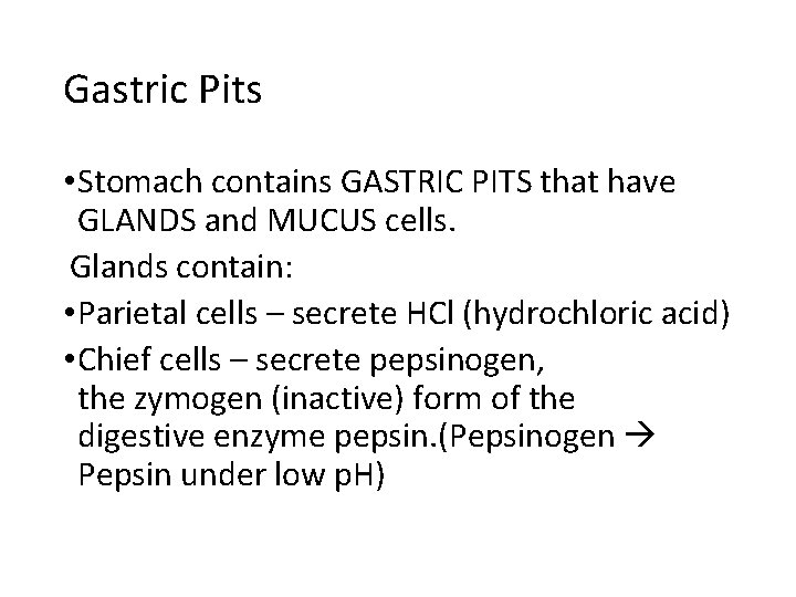 Gastric Pits • Stomach contains GASTRIC PITS that have GLANDS and MUCUS cells. Glands